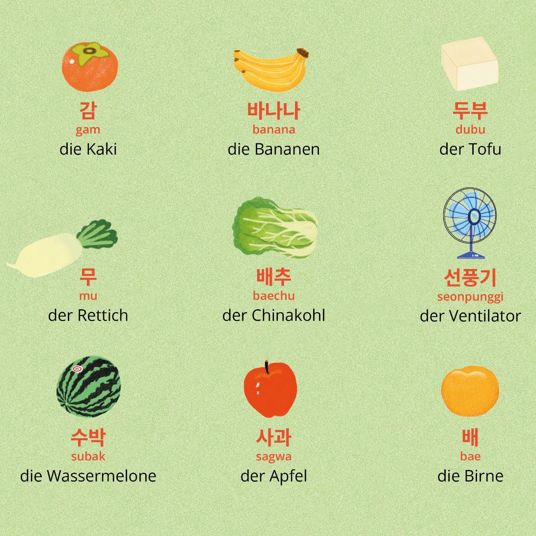 Koreanisches Gemüse Illustration Ein Bild von koreanischem Gemüse illustriert von Mihwa Kim