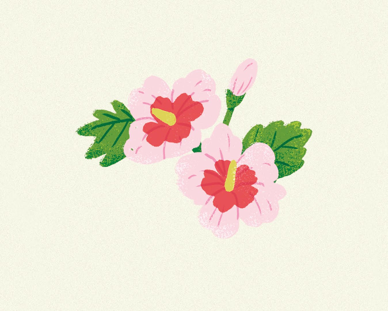 Hibiskusblüte illustriert Eine Illustratin von einer Hibiskusblüte illustriert von Mihwa Kim